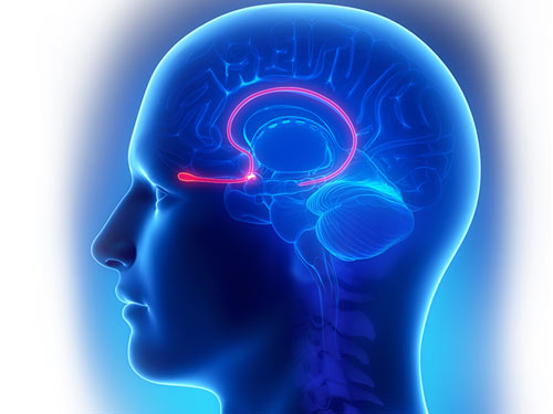 All You Need To Know About Deep Brain Stimulation