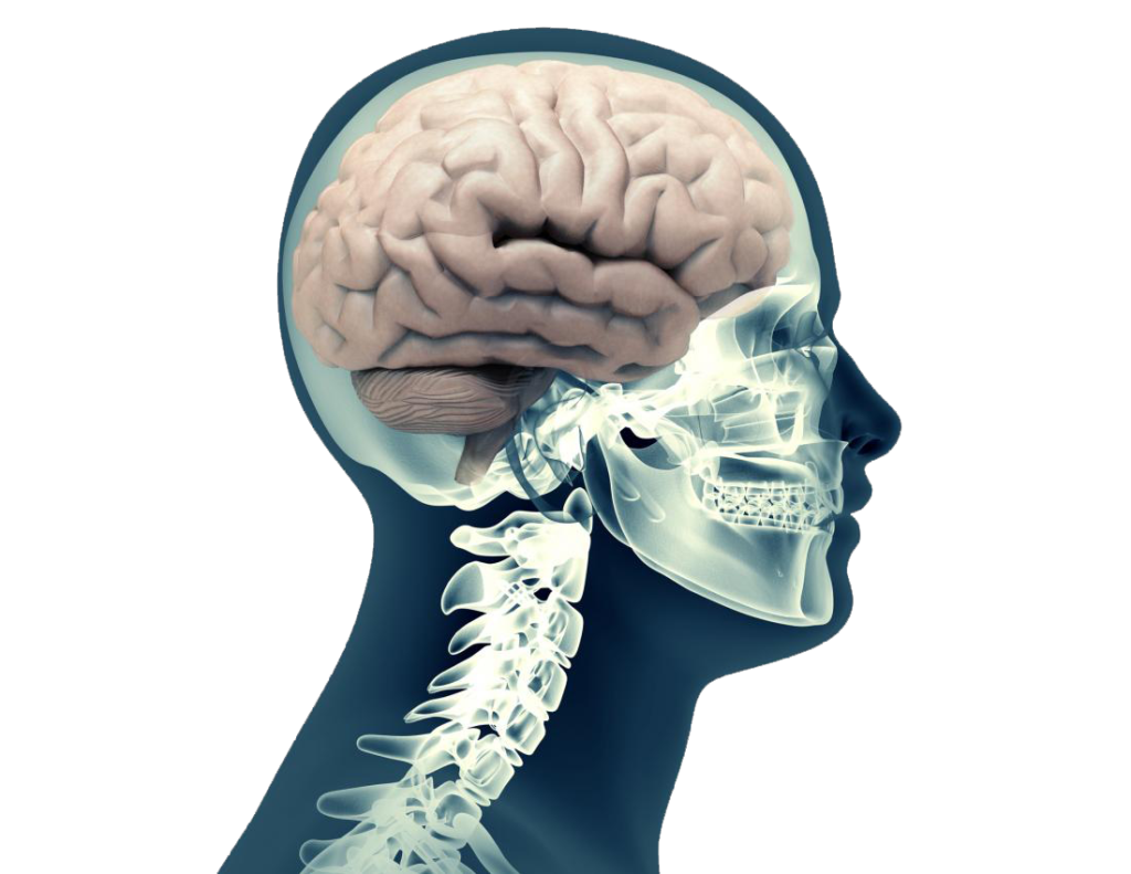 Head Disability Head Injury & Brain Hemorrhage Treatment Gurgaon | Best Neurosurgeon ...