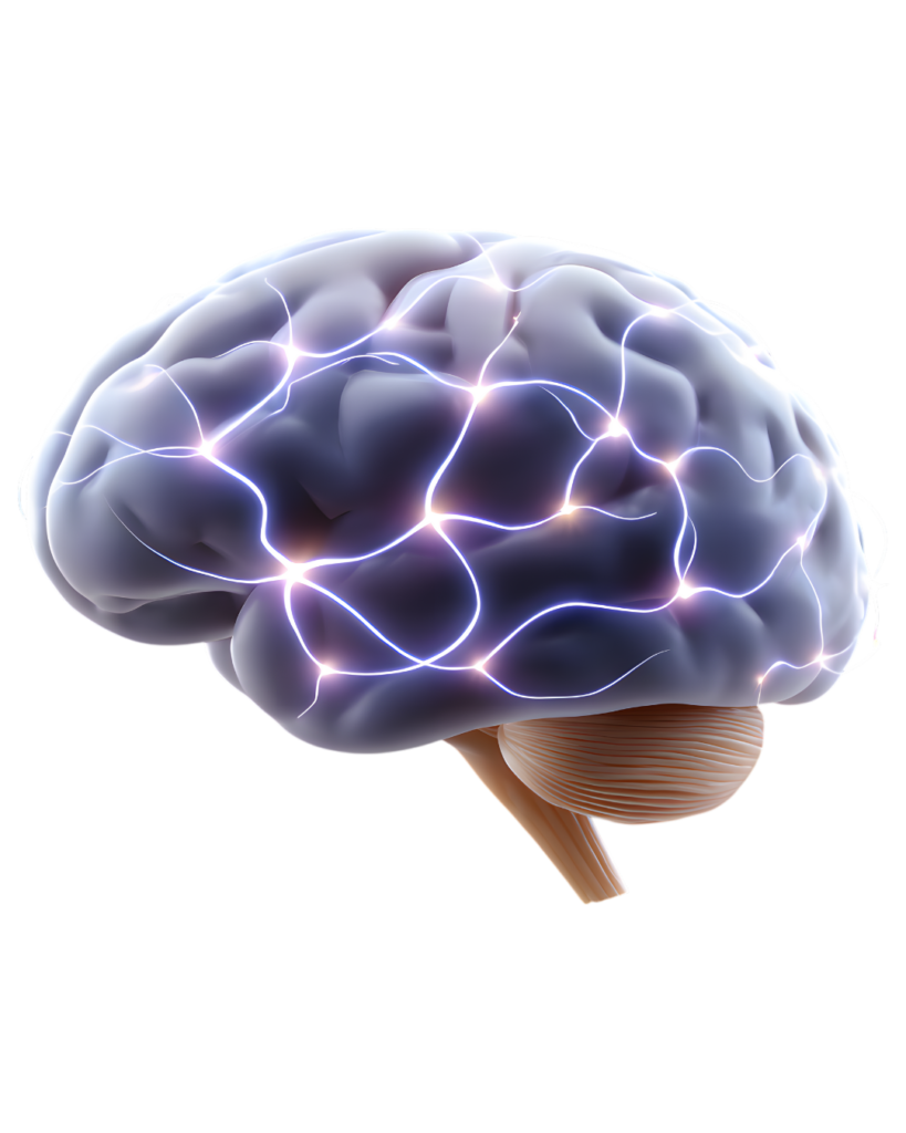 illustrates neural activity within a human brain